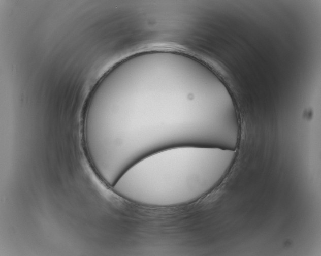 X0000111231430200907091325