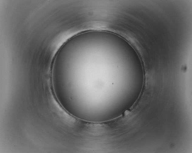X0000111231432200907091325