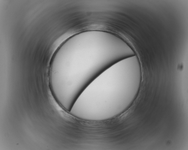 X0000111231434200907091325