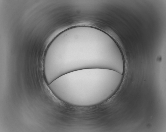 X0000111231436200907091325