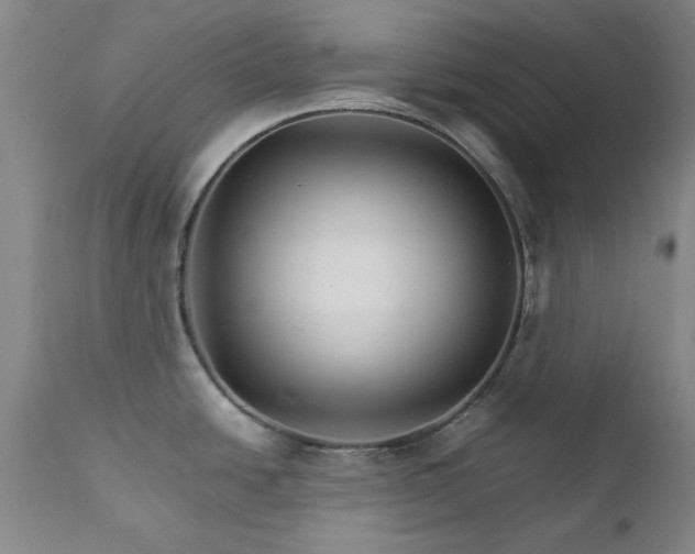 X0000111231438200907091326