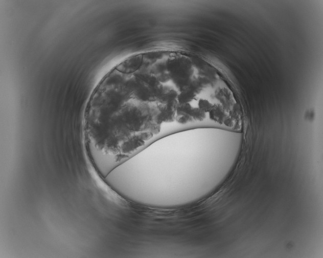 X0000111231439200907091326