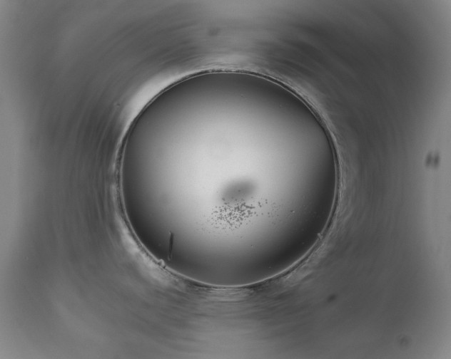 X0000111231440200907091326