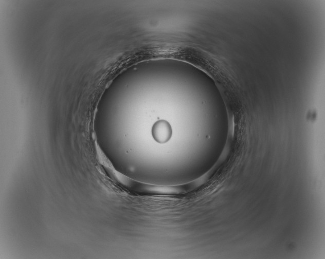 X0000111231441200907091325