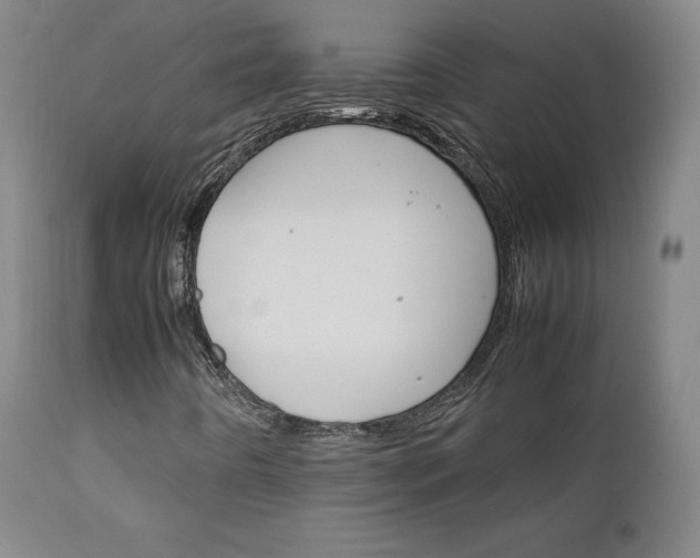 X0000111231442200907091325