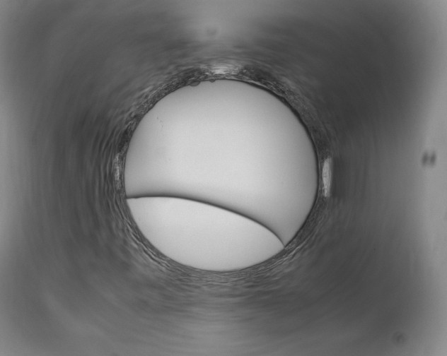 X0000111231443200907091325