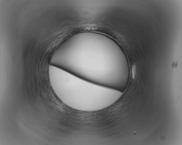 X0000111231444200907091325