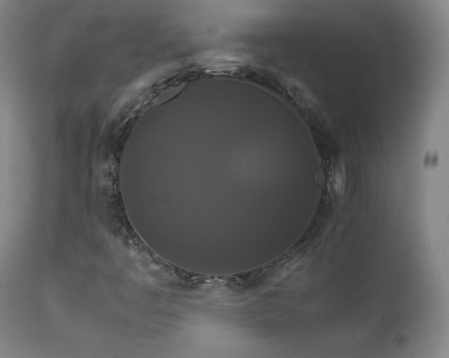 X0000111231445200907091325