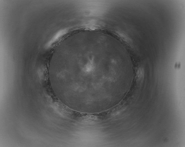 X0000111231446200907091325