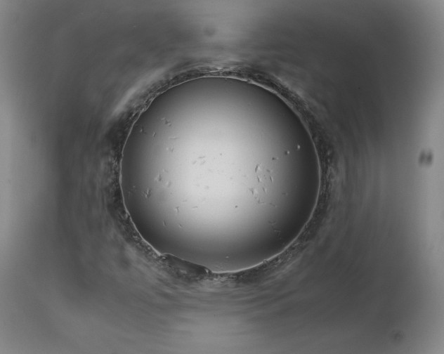 X0000111231447200907091325