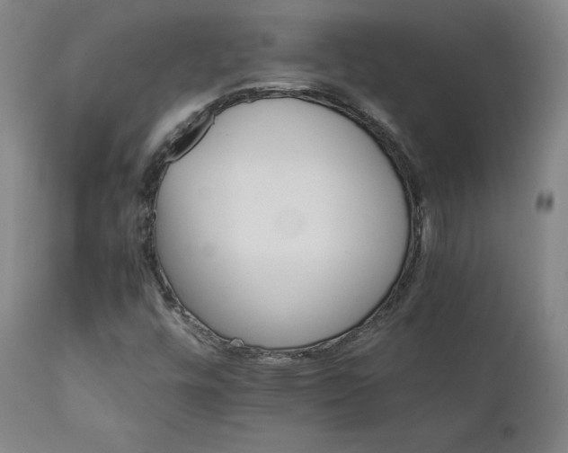 X0000111231448200907091325