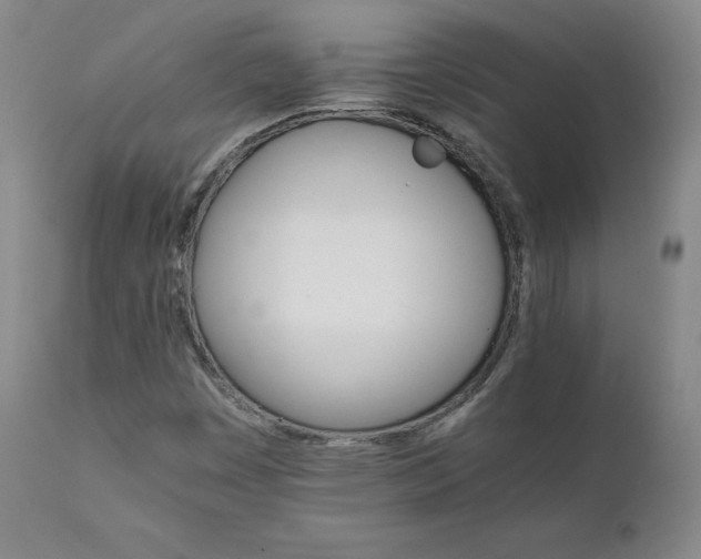 X0000111231449200907091325