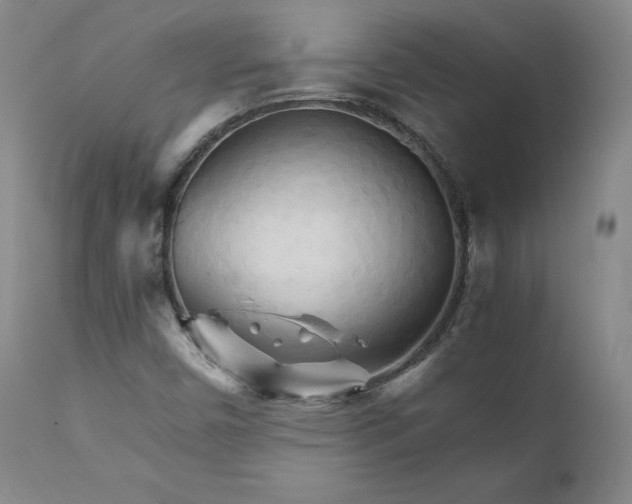 X0000111231450200907091325