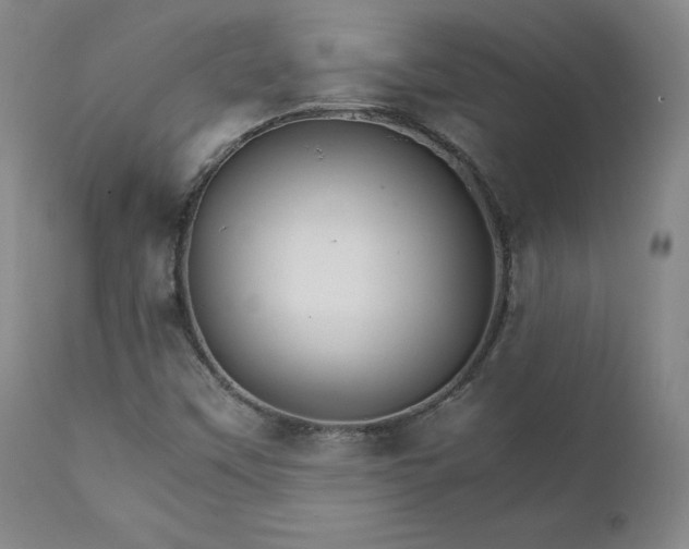 X0000111231451200907091325