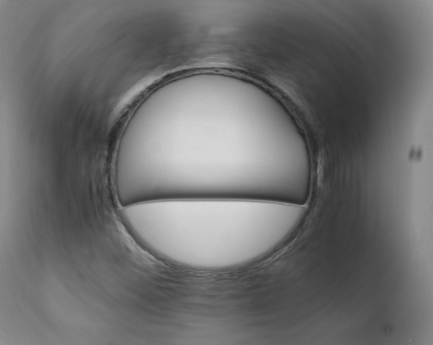 X0000111231452200907091325