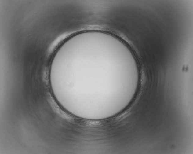 X0000111231454200907091325