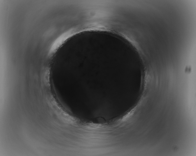X0000111231455200907091325
