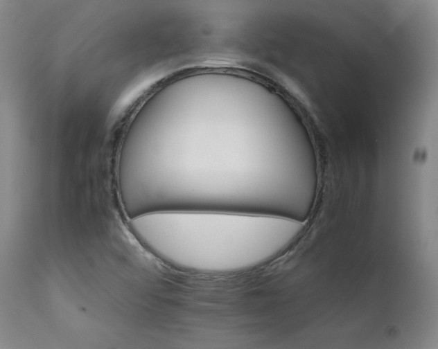 X0000111231456200907091325