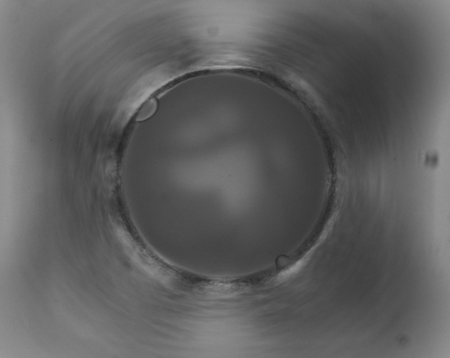 X0000111231457200907091325