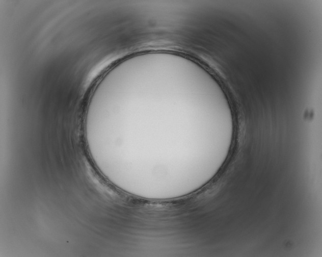 X0000111231458200907091325