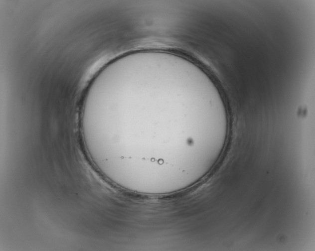 X0000111231459200907091325