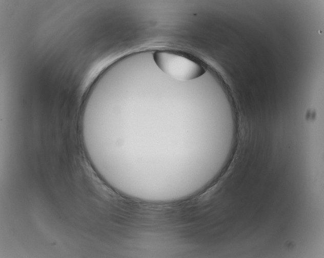 X0000111231461200907091325
