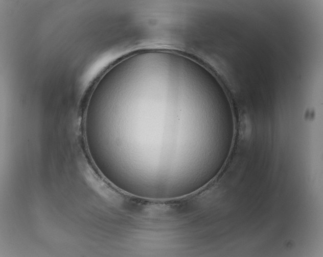 X0000111231462200907091325