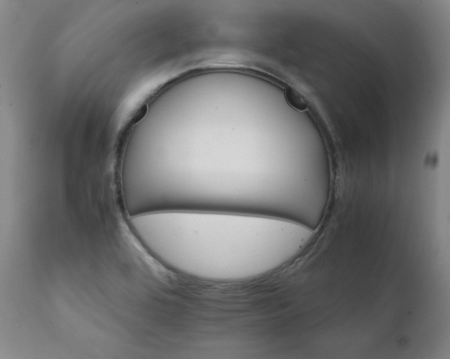 X0000111231464200907091325