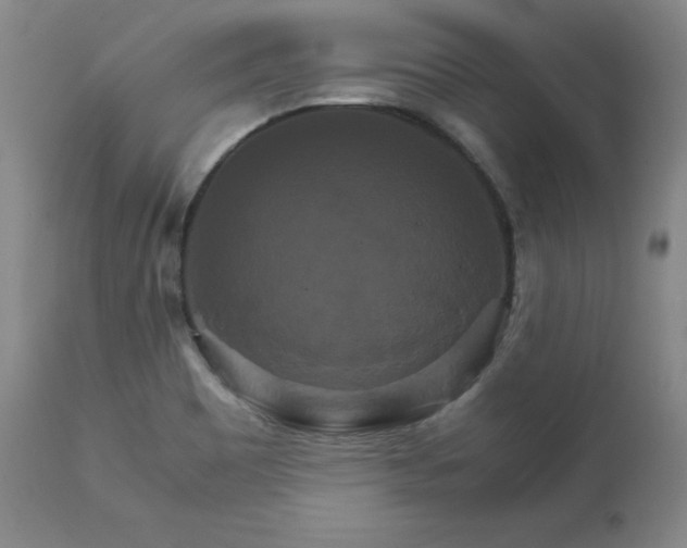 X0000111231465200907091325