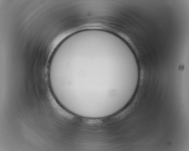 X0000111231466200907091325