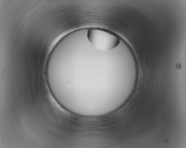X0000111231468200907091325