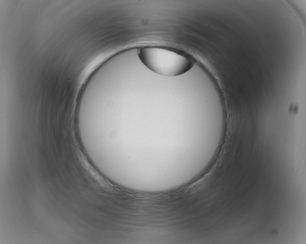 X0000111231469200907091324