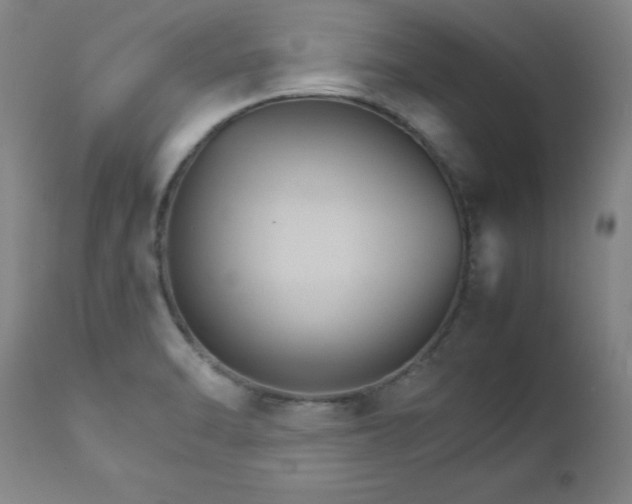 X0000111231470200907091324