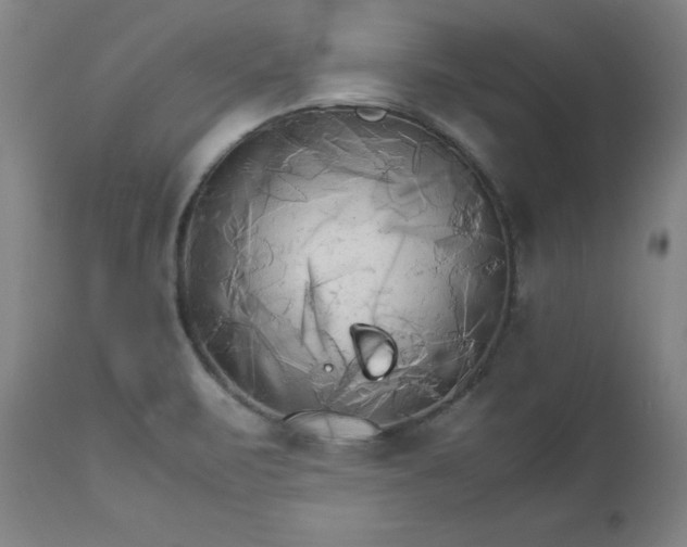 X0000111231471200907091324