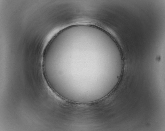 X0000111231472200907091324