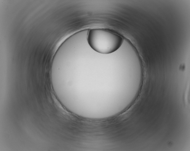 X0000111231473200907091324