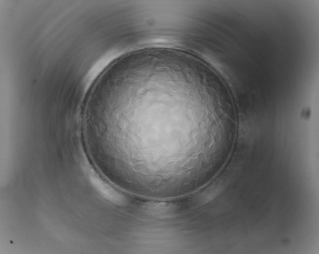 X0000111231474200907091324