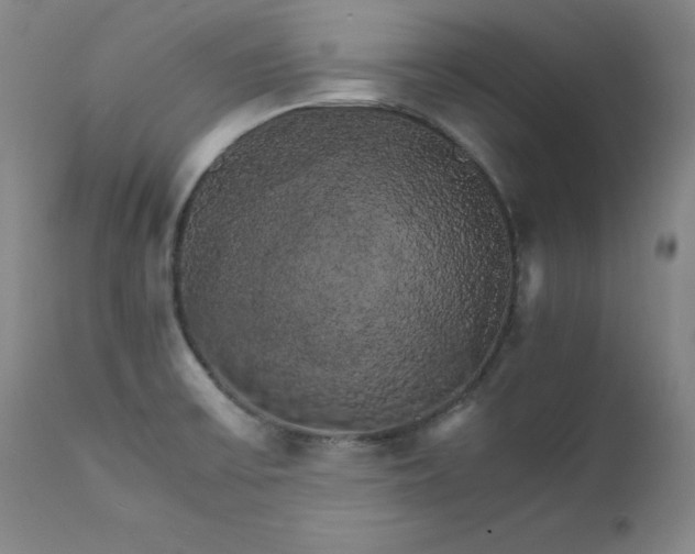 X0000111231475200907091324