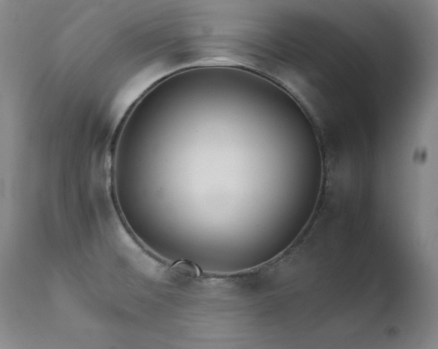 X0000111231476200907091324