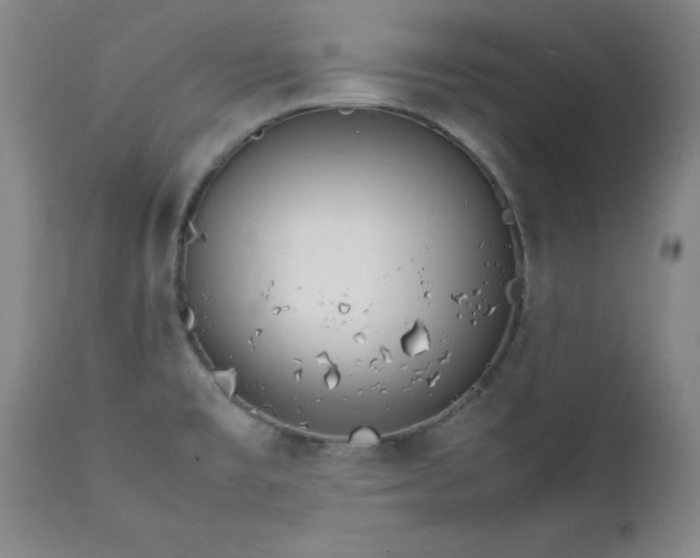 X0000111231477200907091324