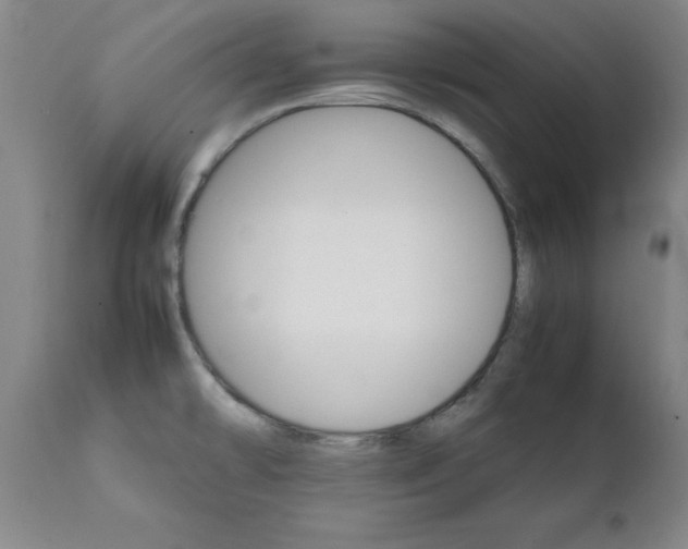 X0000111231478200907091324