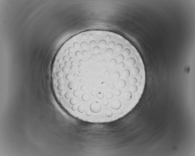 X0000111231479200907091324