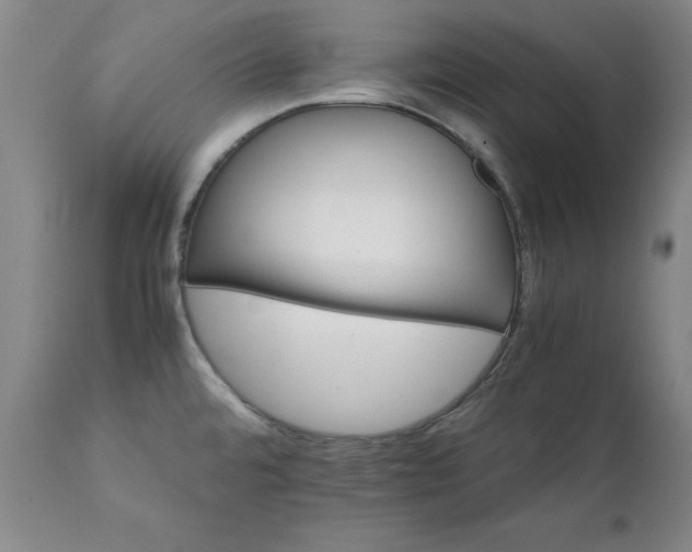 X0000111231480200907091324