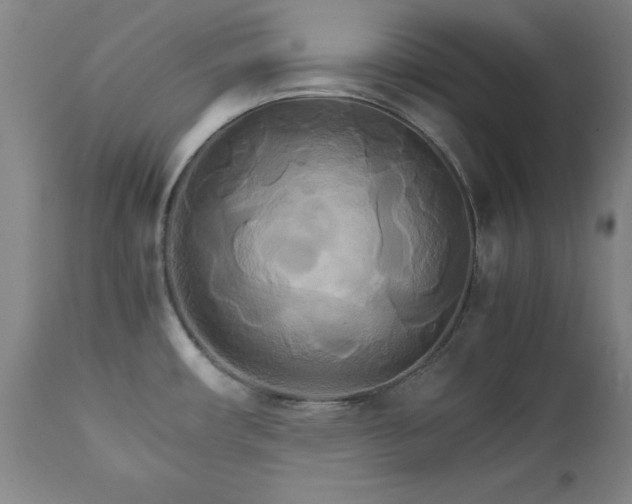 X0000111231482200907091324