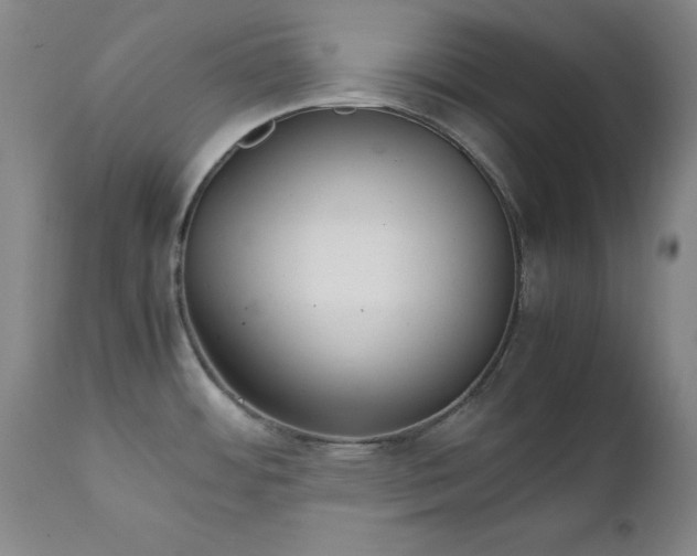 X0000111231484200907091324