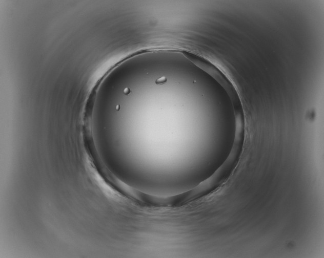X0000111231485200907091324