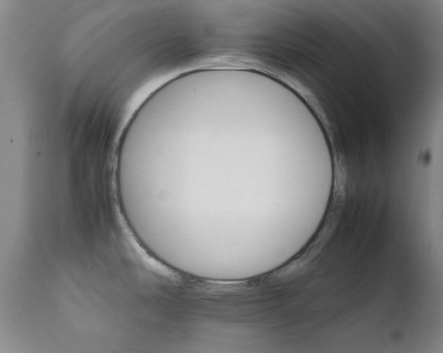 X0000111231486200907091324