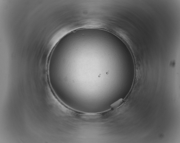 X0000111231487200907091324