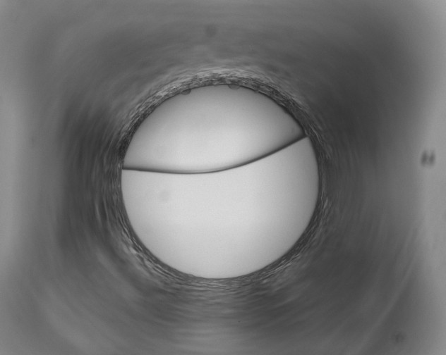 X0000111231492200907091324