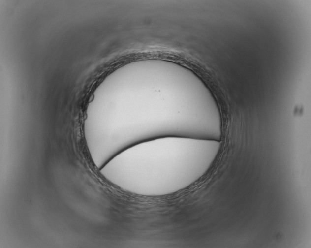 X0000111231493200907091324